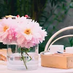 Carrara Deluxe Home